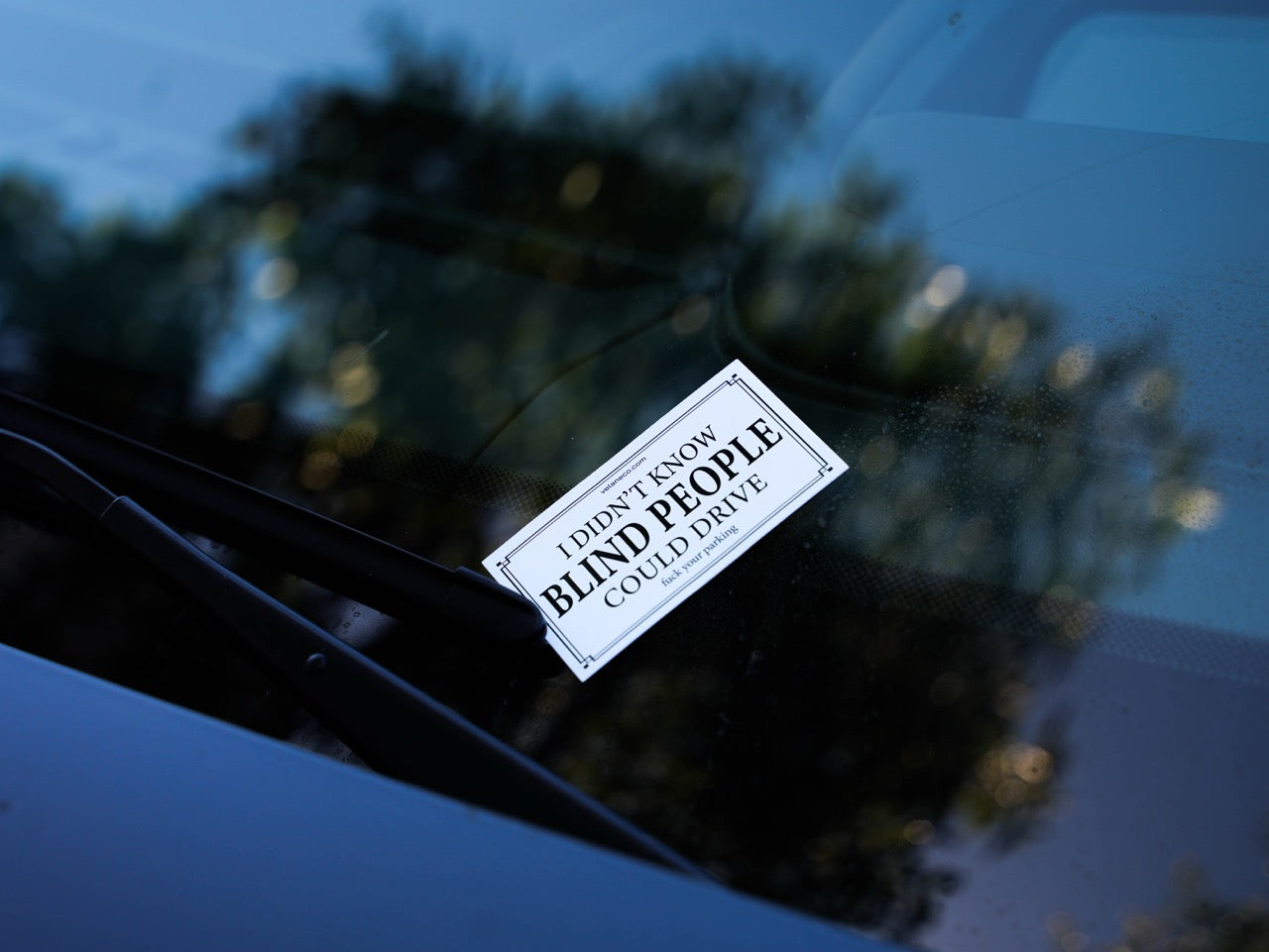 Set of 25 "I Didn't Know Blind People Could Drive" Cards