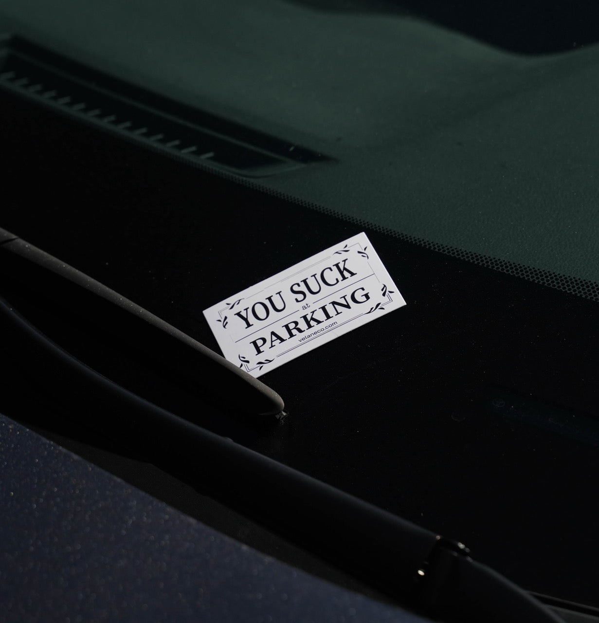 Set of 25 "You Suck at Parking" Cards